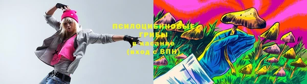 метадон Липки