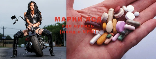 прущие грибы Ижевск