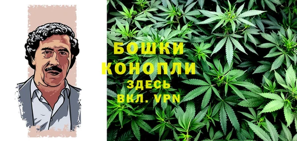 молекула духа Нестеровская
