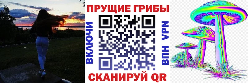 shop как зайти  Новое Девяткино  Псилоцибиновые грибы Magic Shrooms 