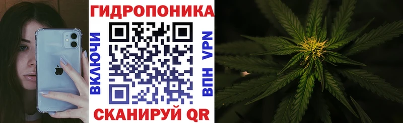 как найти наркотики  Новое Девяткино  Марихуана сатива 